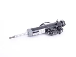 Rear Shock Absorber - Left - Priced Each