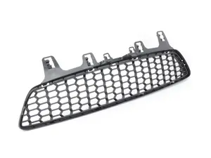 Bumper center grille