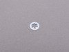 ES#2726681 - N91121601 - WASHER - Genuine Volkswagen Audi - 