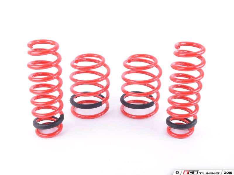 Megan Racing MRLSE92 Lowering Spring Kit