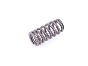 VALVE SPRING