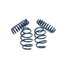ES#3148940 - D100-0917 - Performance Spring Set - Civilized performance for the discerning enthusiast - Dinan - BMW