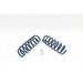 ES#3148949 - D100-0930 - Performance Spring Set - Civilized performance for the discerning enthusiast - Dinan - BMW