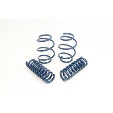 ES#3148950 - D100-0931 - Performance Spring Set - Civilized performance for the discerning enthusiast - Dinan - BMW
