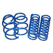 Performance Spring Set - E39 M5