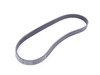 ES#2800752 - 11287512972 - Alternator Drive Belt - Genuine BMW replacement for a slipping or worn alternator drive belt. - Continental - BMW