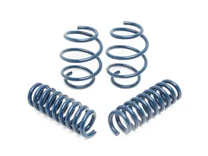 Performance Spring Set