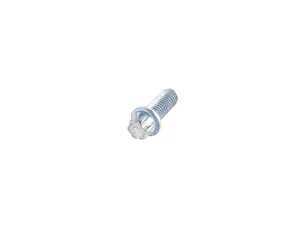 Torx Screw
