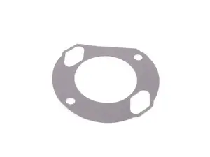 Brake Booster Seal
