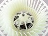 ES#2871969 - 64118385558 - blower motor - Keep your climate control system functioning with this new blower motor - Febi - BMW