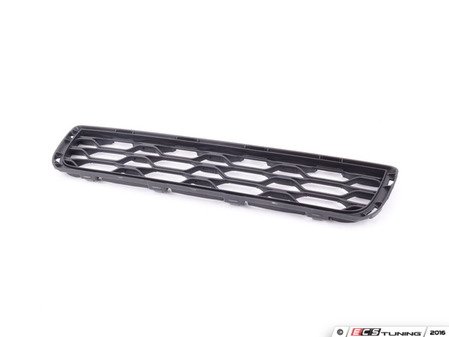 ES#2921483 - 51117360738 - GRID, CENTER - (NO LONGER AVAILABLE) - Genuine BMW - 