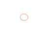 ES#44680 - 24117518710 - GASKET RING - Genuine MINI - MINI
