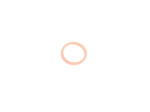 ES#44680 - 24117518710 - GASKET RING - Genuine MINI - MINI
