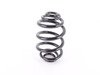 ES#2915098 - 33531095736 - E46 Rear Coil Spring - Replace your cracked springs - Mubea - BMW