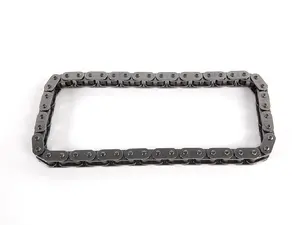 Oil Pump Chain