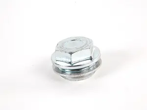 Vanos Unit Plug with Seal Ring (Screw Plug)