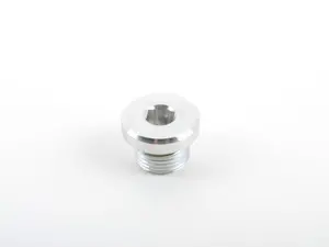 Transmission Drain/Fill Plug