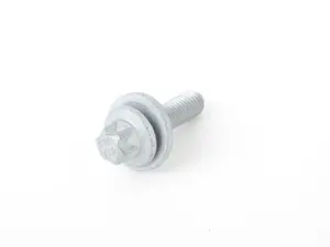 TORX SCREW WITH COLLAR