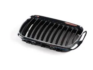 Kidney Grille - Left