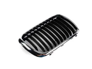 Kidney Grille - Right