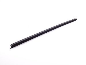 ES#2138432 - 51337205717 - Channel Sealing - Inner Door, Front Left - Genuine BMW - BMW
