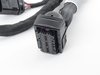 ES#2502498 - 06F972619BG - Engine Wiring Harness - Complete engine harness with connections for ECU and ignition coils - Genuine Volkswagen Audi - Volkswagen