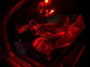 ES#3137465 - 019396ECS01KT - Audi B8 A4/S4 Master LED Interior Lighting Kit - Red - Transform your complete interior in minutes with new LED interior bulbs from Ziza - ZiZa - Audi