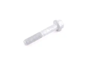 HEX SCREW WITH COLLAR