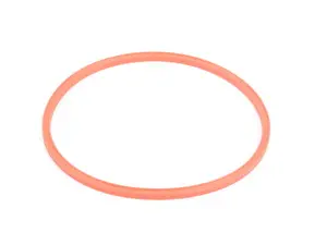 Fuel Pump Gasket