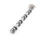 ES#2136413 - 11377591483 - Eccentric Shaft - Part of the head and timing - Genuine MINI - MINI