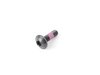 ES#17196 - 07149168393 - TORX SCREW - Genuine BMW - BMW MINI