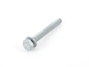 Hex Bolt with Washer