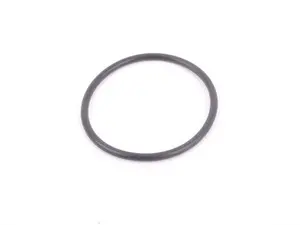 Thermostat O-Ring