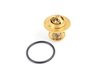 ES#3149395 - 044121113 - Thermostat - 87C - Keep your car running at the proper temperature. Includes o-ring - Rein - Audi Volkswagen