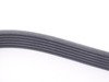 ES#2992713 - 054903137B - Accessory Belt - Keep your car from breaking down by replacing your cracked drive belt - Continental - Audi