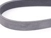 ES#2992713 - 054903137B - Accessory Belt - Keep your car from breaking down by replacing your cracked drive belt - Continental - Audi