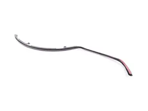 F15 Rear Outer Door Seal - Left