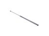 ES#2966915 - 8P0823359C - Hood Strut - Keep your hood propped in place with a new lift strut - Genuine Volkswagen Audi - Audi