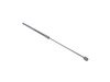 ES#2966915 - 8P0823359C - Hood Strut - Keep your hood propped in place with a new lift strut - Genuine Volkswagen Audi - Audi