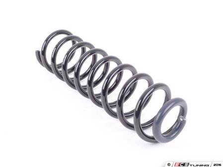 ES#3139126 - 2113211504 - Front Coil Spring - Priced Each - One (1) blue paint mark and three (3) white paint marks - Hudson - Mercedes Benz