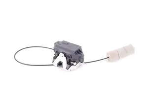 Tailgate Latch Assembly