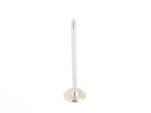 Exhaust Valve - Priced Each