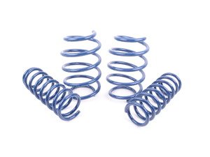 ES#3148925 - D100-0479 - Performance Spring Set - E39 M5 - Civilized performance for the discerning enthusiast - Dinan - BMW