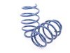 ES#3148925 - D100-0479 - Performance Spring Set - E39 M5 - Civilized performance for the discerning enthusiast - Dinan - BMW