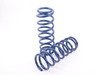 ES#3148925 - D100-0479 - Performance Spring Set - E39 M5 - Civilized performance for the discerning enthusiast - Dinan - BMW