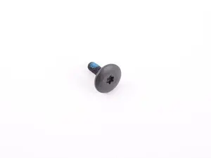 FILLISTER HEAD SCREW