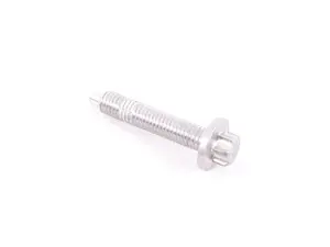 TORX SCREW