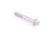 ES#1875603 - 31106789333 - TORX SCREW - Genuine BMW - BMW