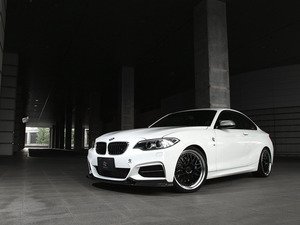 ES#3175864 - 3101-22211 - Carbon Fiber Front Lip Spoiler - Individualize your BMW's looks with this carbon fiber lip spoiler - 3D Design - BMW