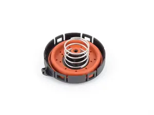Pressure Regulator Valve Repair Kit